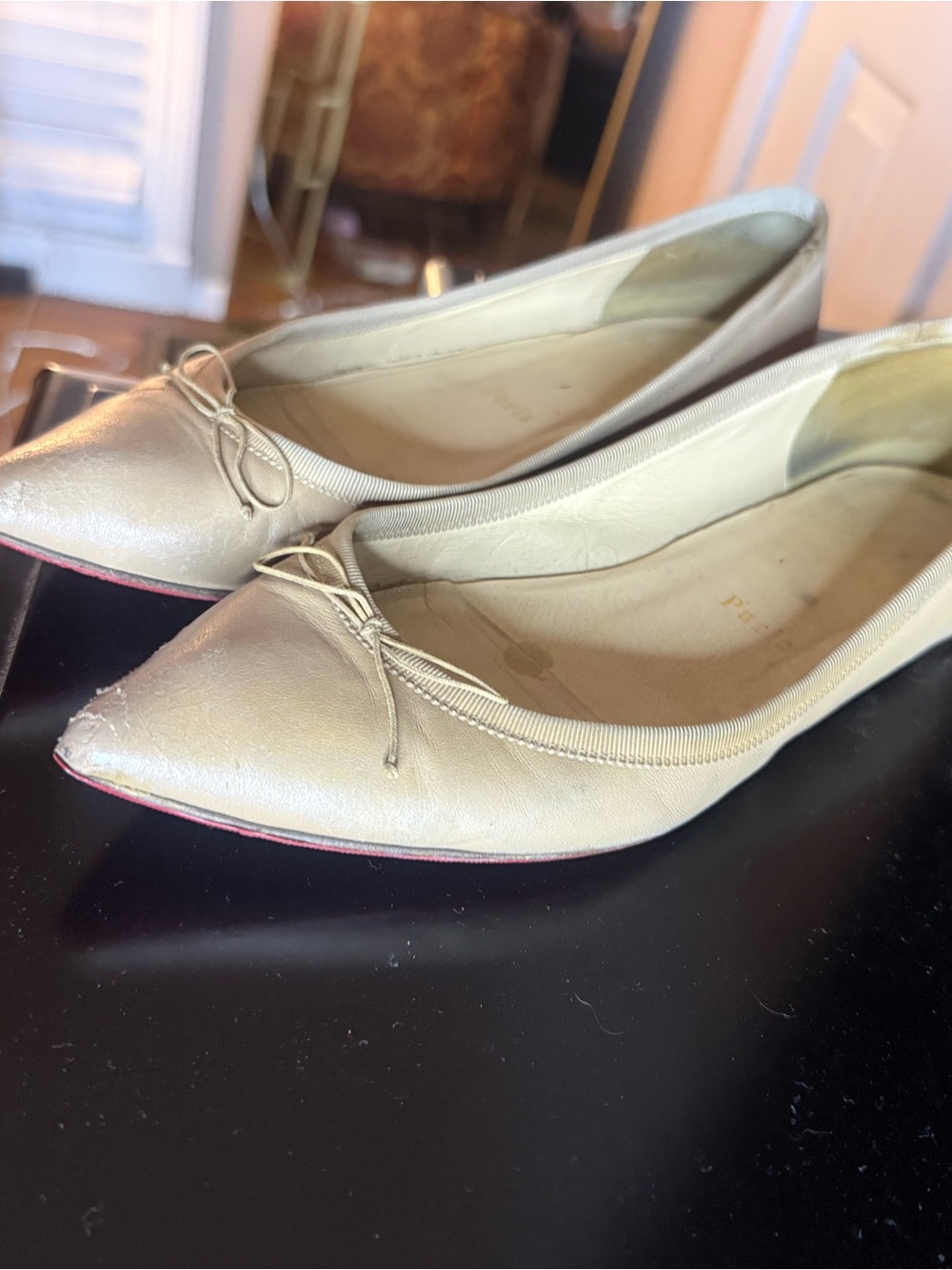 Nude Classic Pointed Toe Ballet Flats